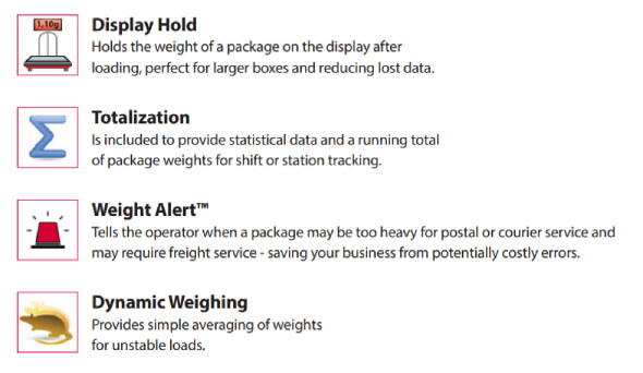 description of the scale's functionality